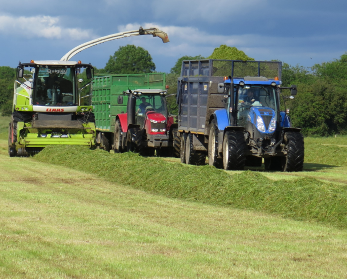 cultivate-farming-loan-st-dominic-credit-union